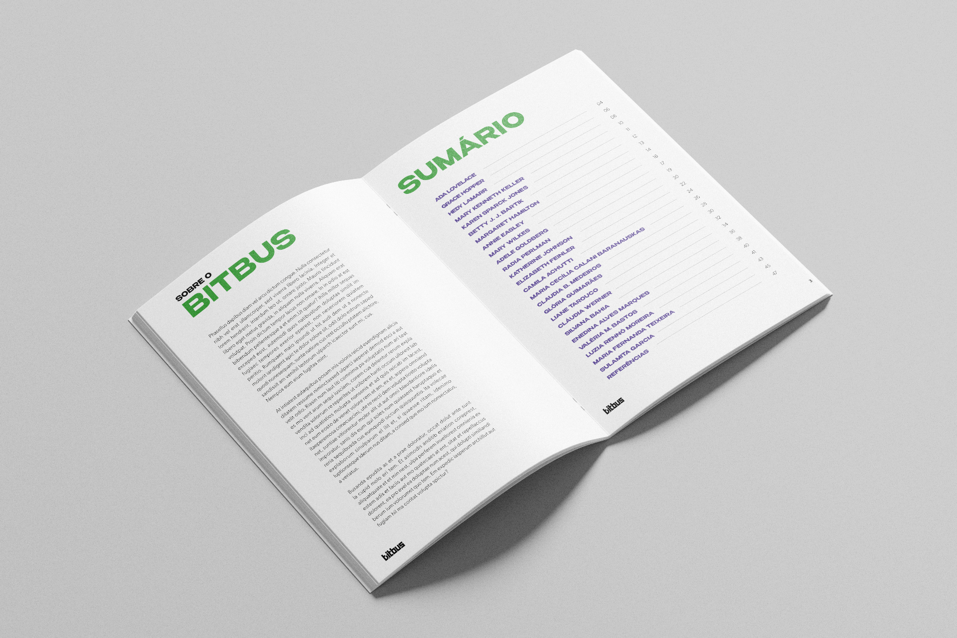 Sumário do zine BitBus, com tipografia grande e listagem das cientistas apresentadas.